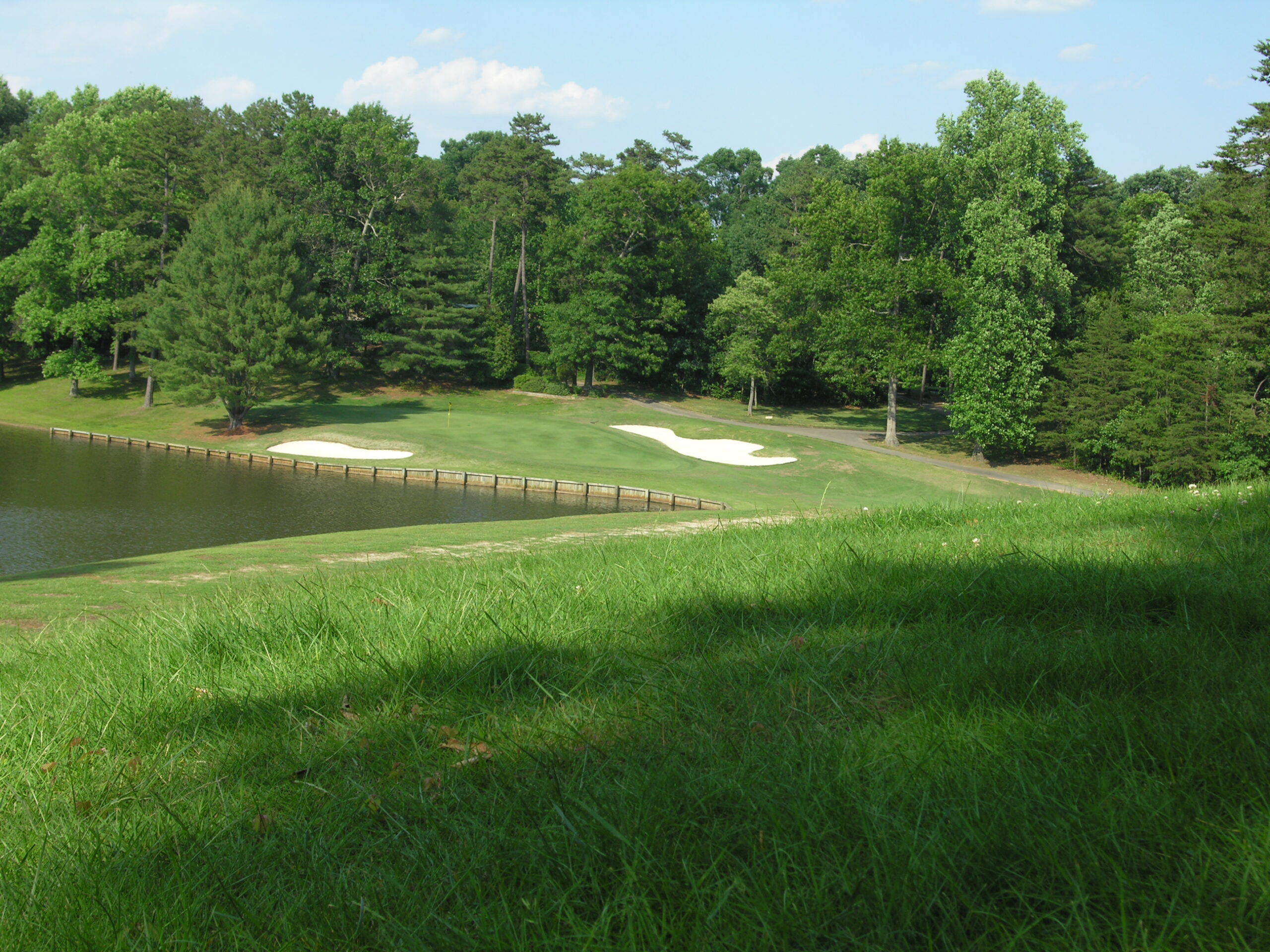 Image of golf ball on tee on grass.
